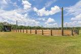 5210 County Road 305 - Photo 38