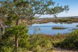 226 Orchis Rd - Photo 69