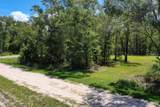4815 Olaf Street - Photo 6