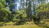 126 Helen Ave - Photo 1