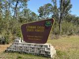 1134 Coral Farms Rd. - Photo 37