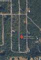 320 Suge Ln - Photo 1