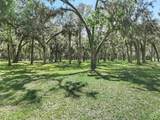 0 Rolling Hills Dr - Photo 17