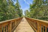 244 Caretta Cir - Photo 48