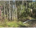 0 Collier Blvd - Photo 1