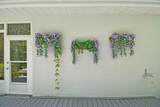 561 Boxwood Pl - Photo 29