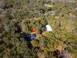 2950 Kings Rd - Photo 64