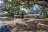 931 Espinado Ave - Photo 3