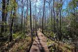 4142 Burning Tree Ln - Photo 43