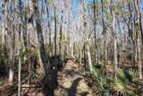 4142 Burning Tree Ln - Photo 44