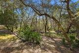 3577 Red Cloud Trl - Photo 59