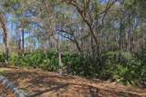 115 Pine Hollow Trl - Photo 37