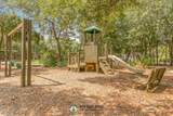 305 Via Castilla - Photo 45
