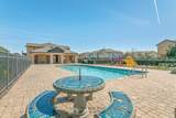 300 Syrah Way - Photo 44
