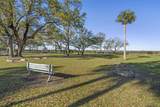 16 Alcira Ct - Photo 43
