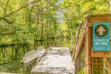 210 White Rabbit Run - Photo 42
