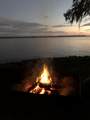 8333 Colee Cove Rd - Photo 60
