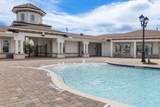 253 Jarama Cir - Photo 61