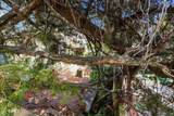 50 Charlotte St - Photo 49