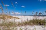 5067 Atlantic View - Photo 7