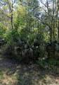 425 Dogwood Ave - Photo 1