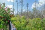 184 Blue Cypress Trl - Photo 42