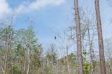 184 Blue Cypress Trl - Photo 43