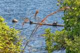 37 Lost Lake Dr - Photo 82