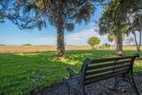 1005 Bella Vista Blvd - Photo 52
