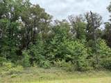 4120-2 Melanie St - Photo 3