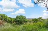 119 Herons Nest Ln - Photo 86