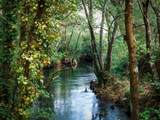 17983 243rd Place Rd - Photo 4