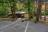 10379 Big Tree Ln - Photo 2
