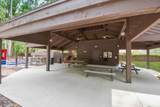 10379 Big Tree Ln - Photo 24