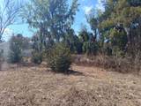695 Rodriquez St - Photo 7