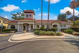 1529 Vista Cove Rd - Photo 58