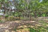 9550-A County Road 13 - Photo 46