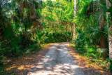 10474 Salt Marsh Trail - Photo 8