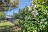 783 Blackmoor Gate Ln - Photo 66