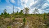 0000 Fox Road - Photo 13