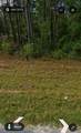 308 Kingston Blvd - Photo 3