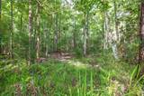 4945 Moultrie Reserve Ct - Photo 47