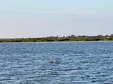 449 Domenico Circle - Photo 48