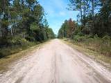 10520 Beckenger Ave - Photo 6