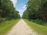 4525 Harold St - Photo 5