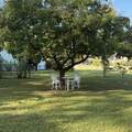 736 San Mateo Rd - Photo 39