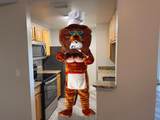 1005 Bella Vista Blvd - Photo 13