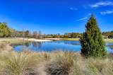 4644 Tuscan Wood Ct - Photo 54