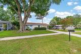 217 Cotorro Ln - Photo 33