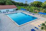 217 Cotorro Ln - Photo 36